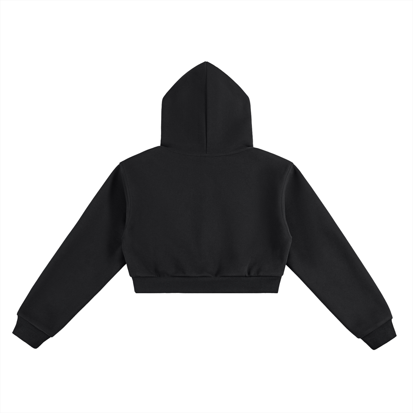 Red Flags Cropped Hoodie